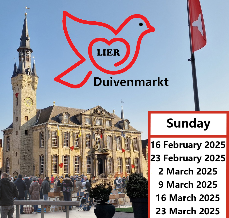 Pigeon Market Lier 2025