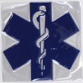 Star of Life Borst Badge 