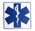 Star of Life Rug Badge 2